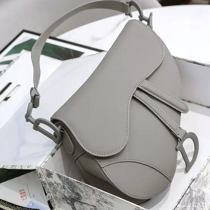 Grey Calfskin Ultramatte Dior Bag Saddle 0408 Luxury
